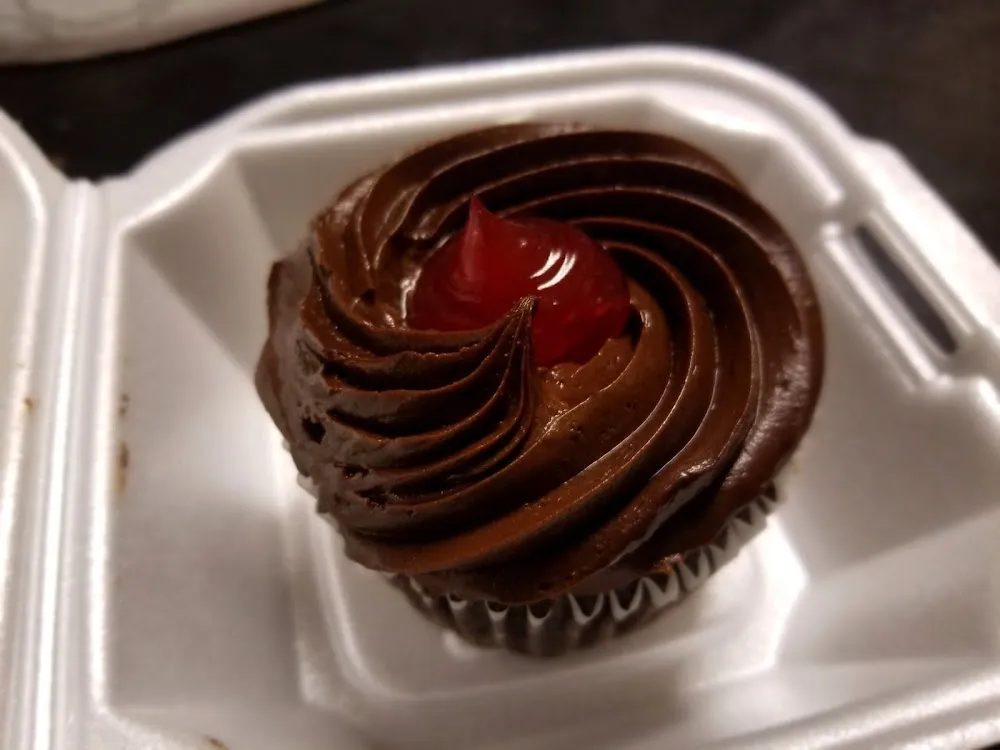 Chocolate Raspberry Cupcake